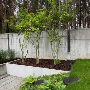 ogrod-3